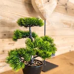 Fiechtl Апартаменты *