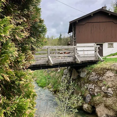 Fiechtl Apartamento Leogang